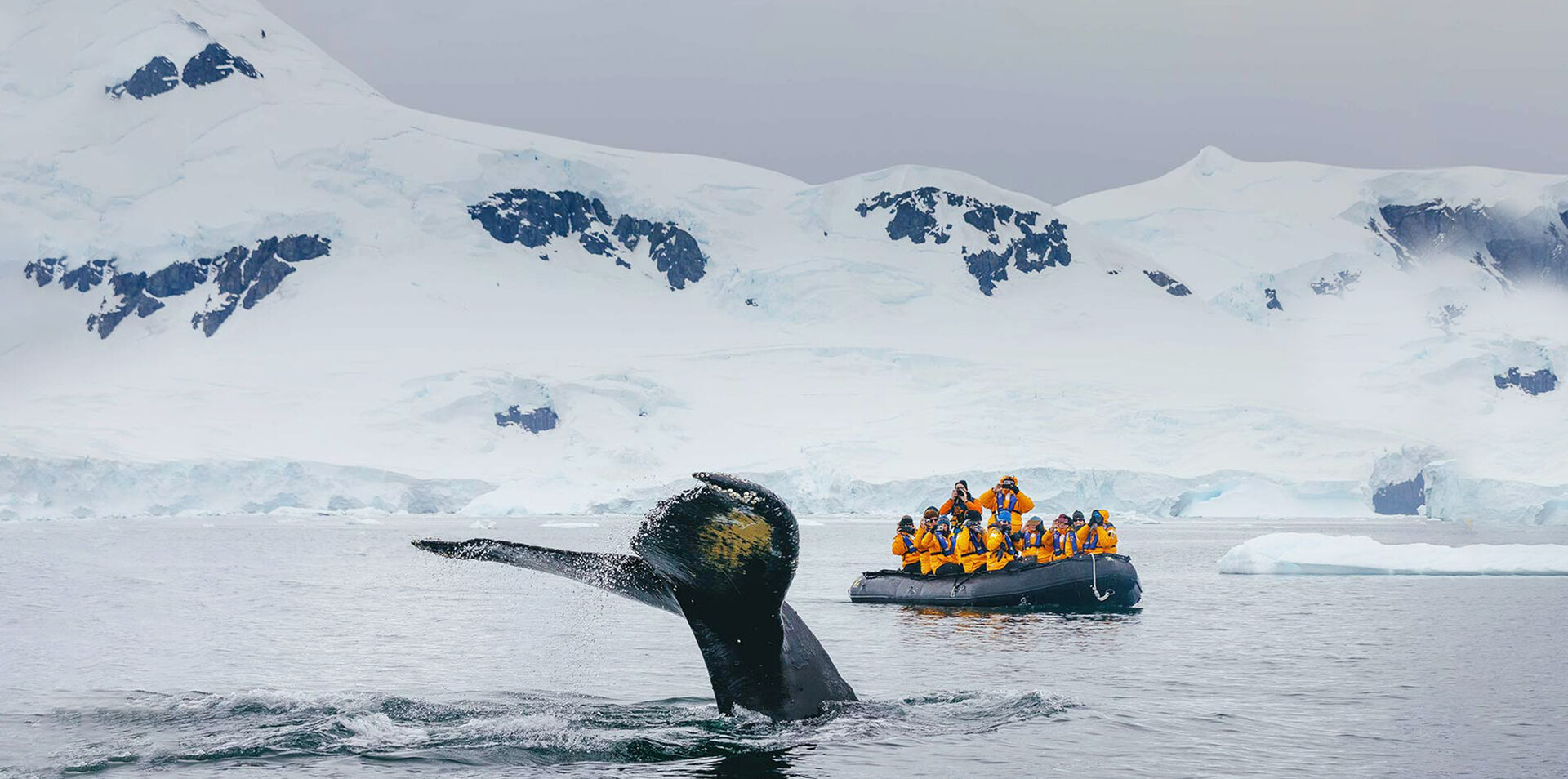 Antarctic Explorer: Discovering the 7th Continent 