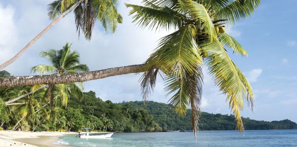 Snorkelling in Fiji