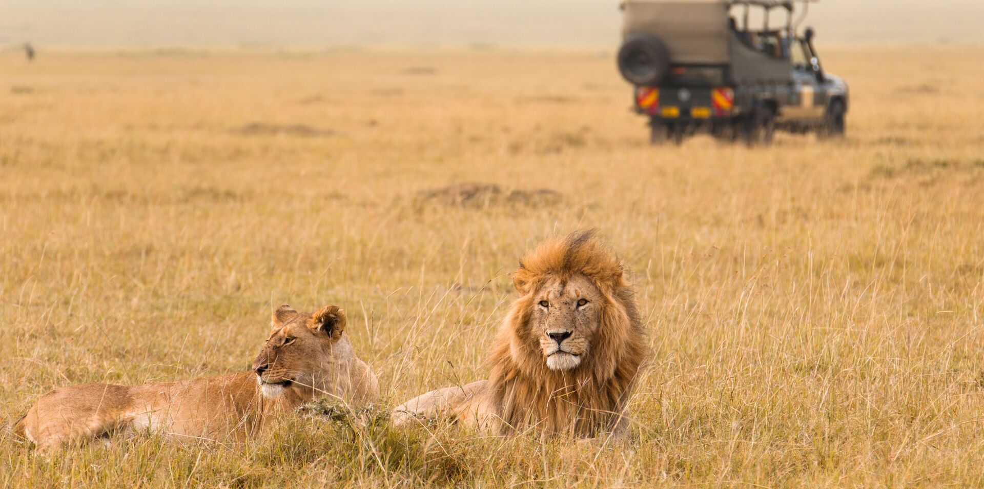 Game Parks of Africa